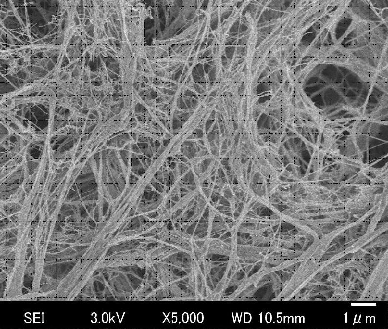 CNF(セルロースナノファイバー)の顕微写真